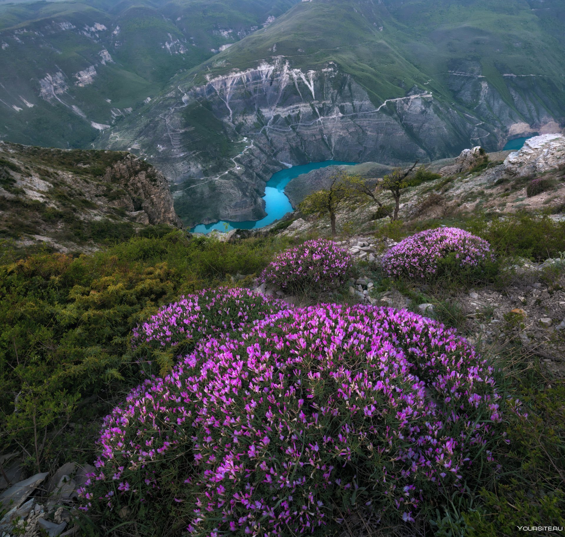 Дагестан фото природа