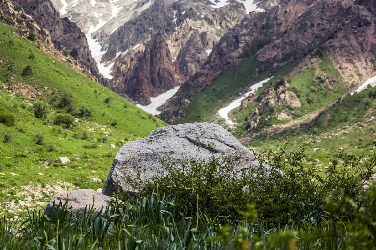 Большой Чимган горы Узбекистана