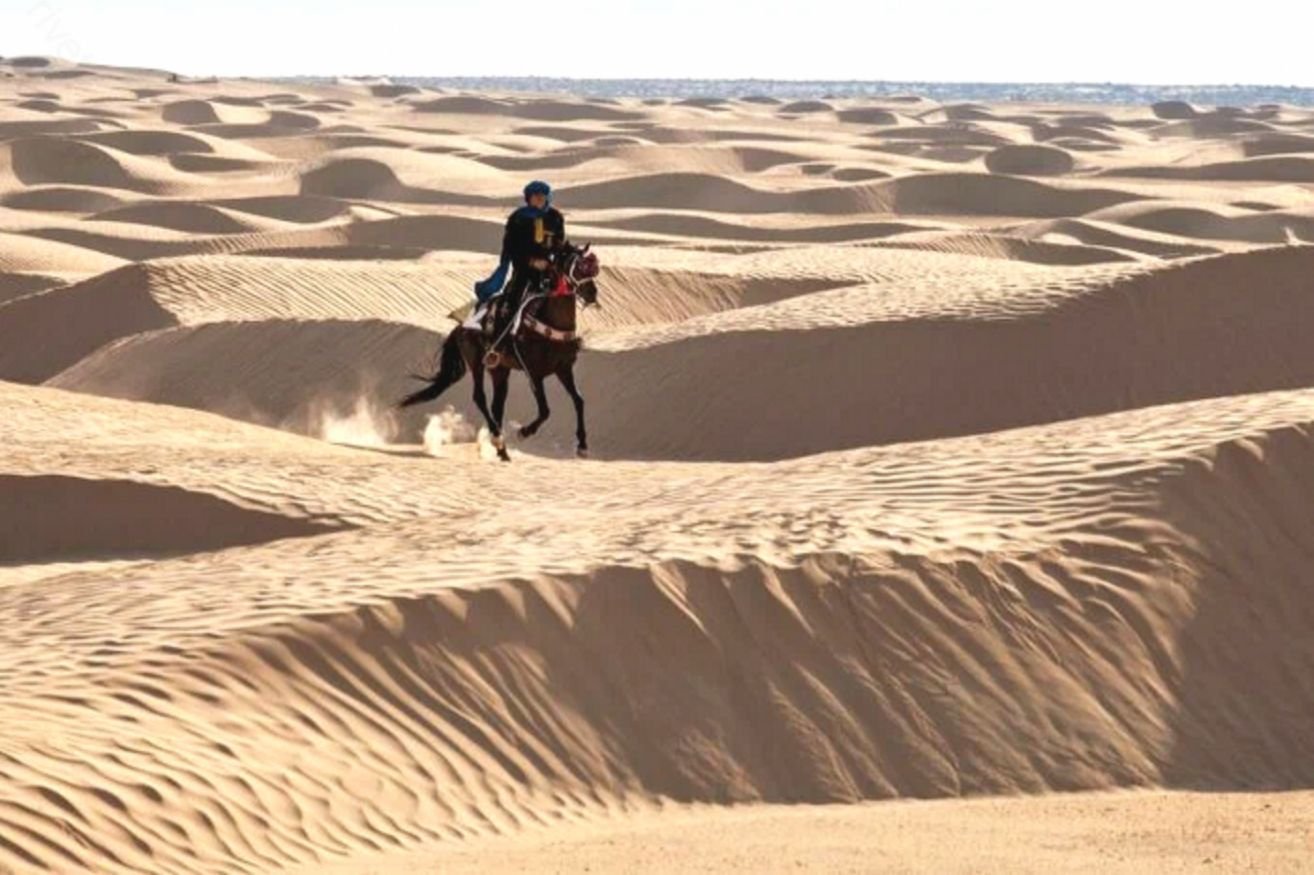 D desert. Пустыня Барханы Оазис. Арабские эмираты пустыня руб-Эль-Хали. Бедуины Саудовской Аравии.