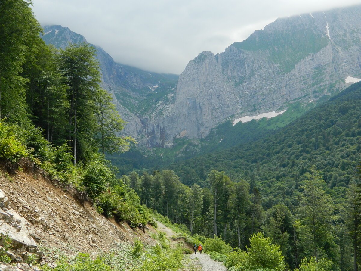 Кавказский заповедник вершина Цахвоа