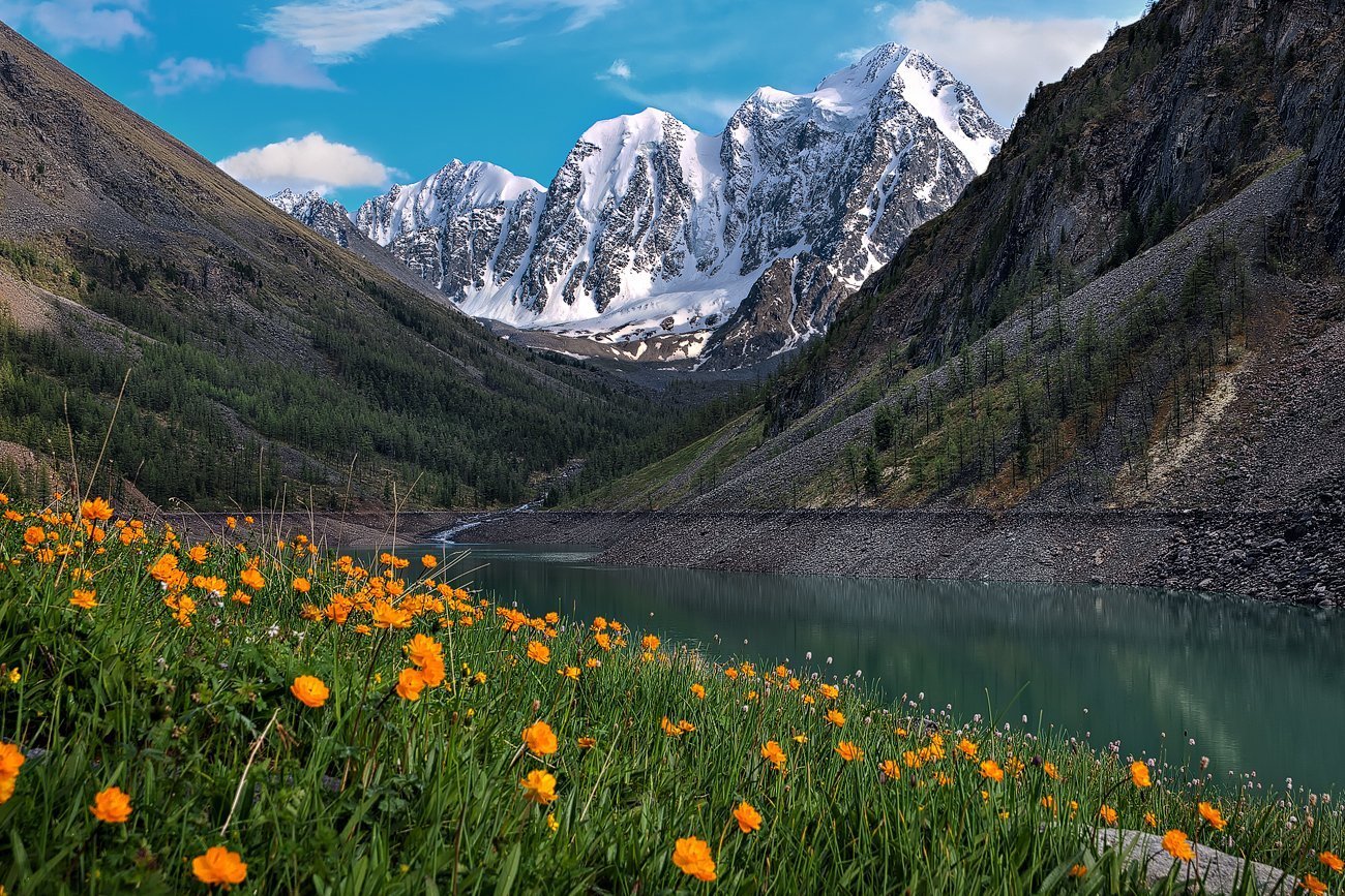 Altai. Шавлинские озера Алтайский край. Алтайские горы Шавлинские озера. Алтай Шавлинские озёра красавица. Алтай цветы Шавлинское озеро.