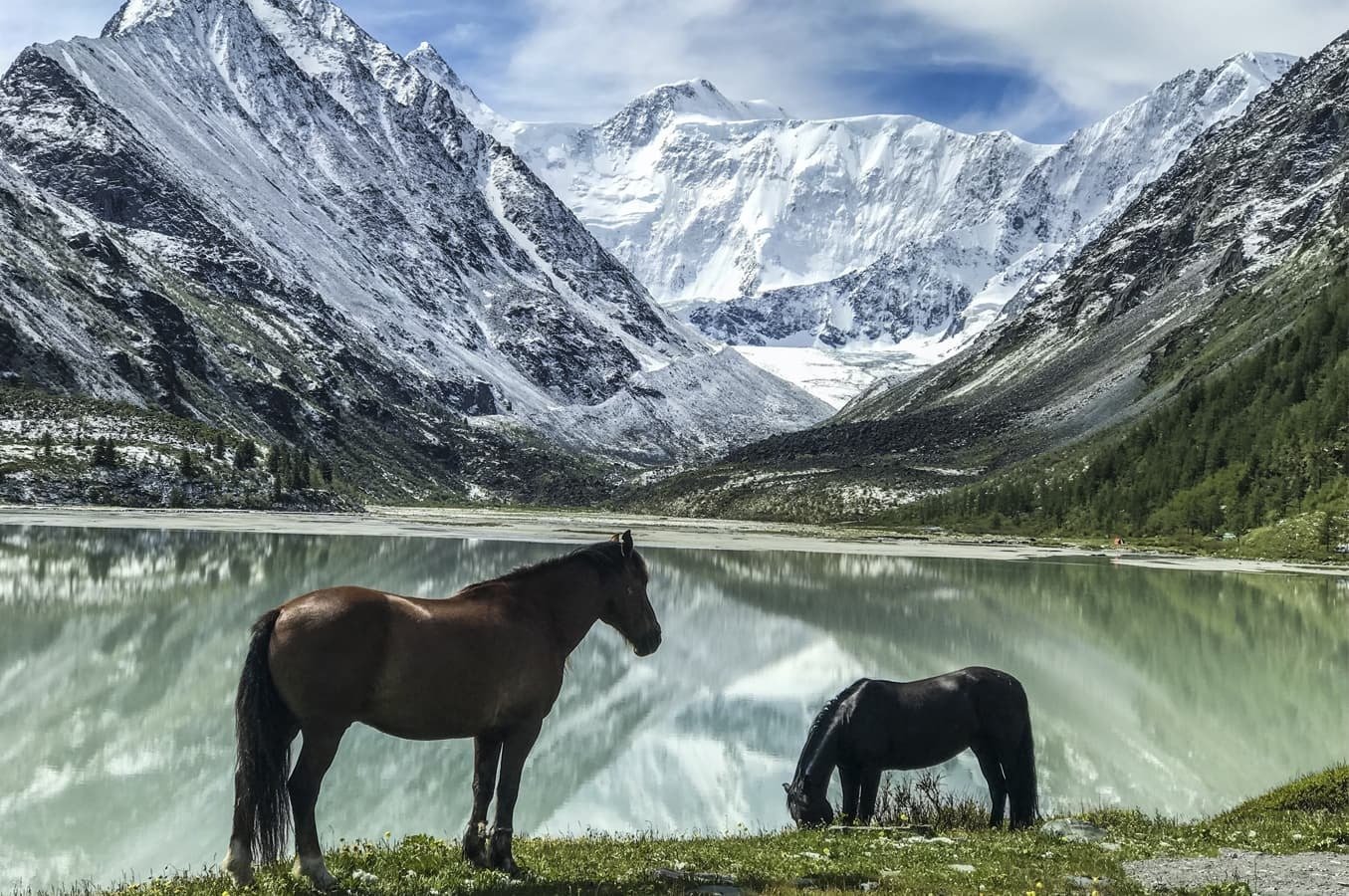 Горно Алтайск Белуха