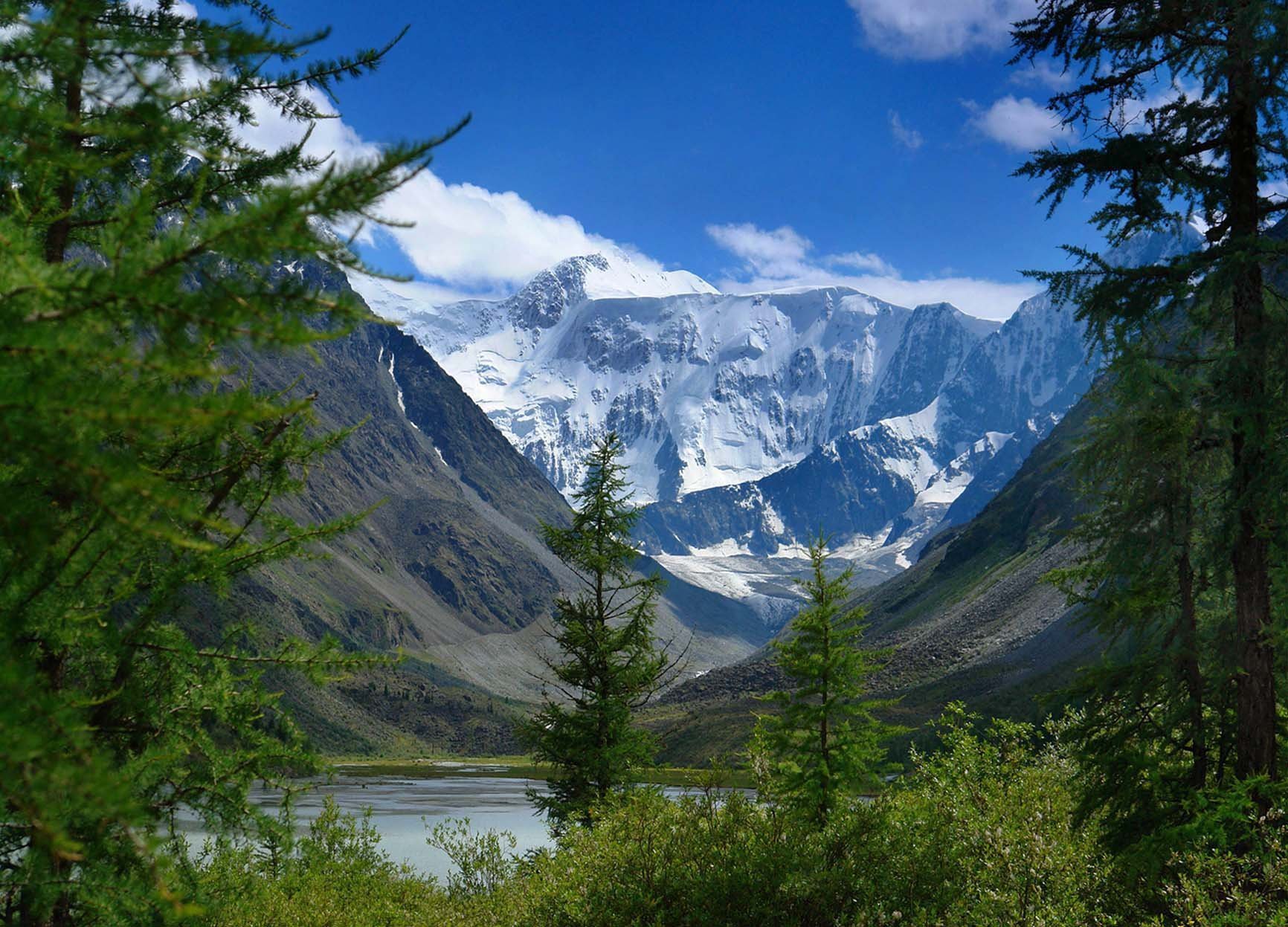 Алтай горы. Алтайский заповедник гора Белуха. Республика Алтай природа гора Белуха. Природный парк Белуха Алтай. Золотые горы Алтая Белуха.