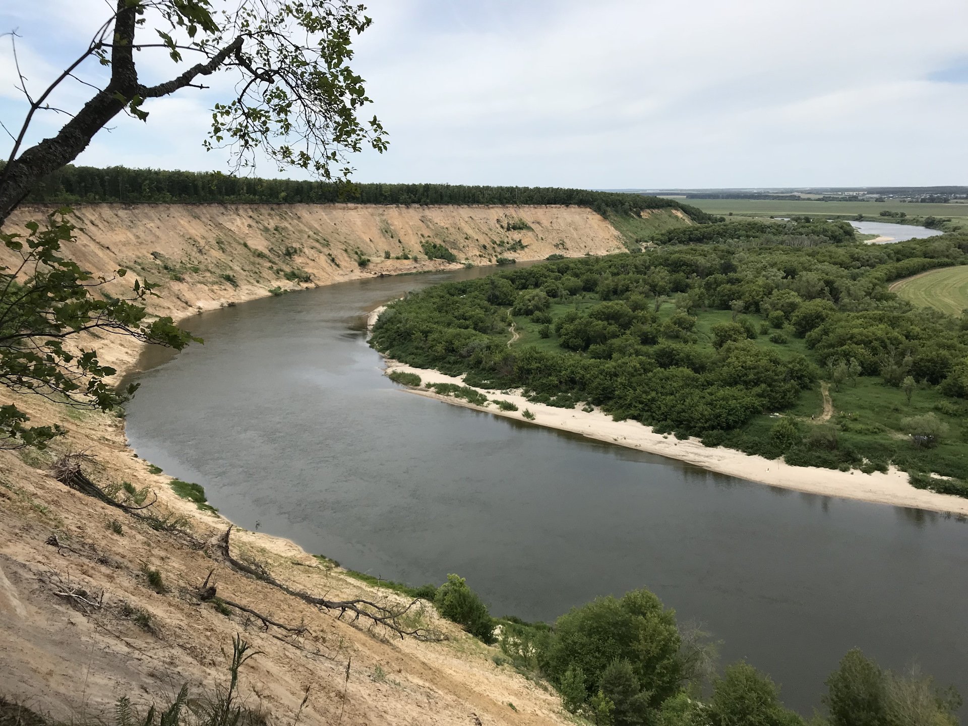 Доне доне виде виде. Река Дон Кривоборье. Излучина Дона Кривоборье. Кривоборье пляж. Кривоборье река.