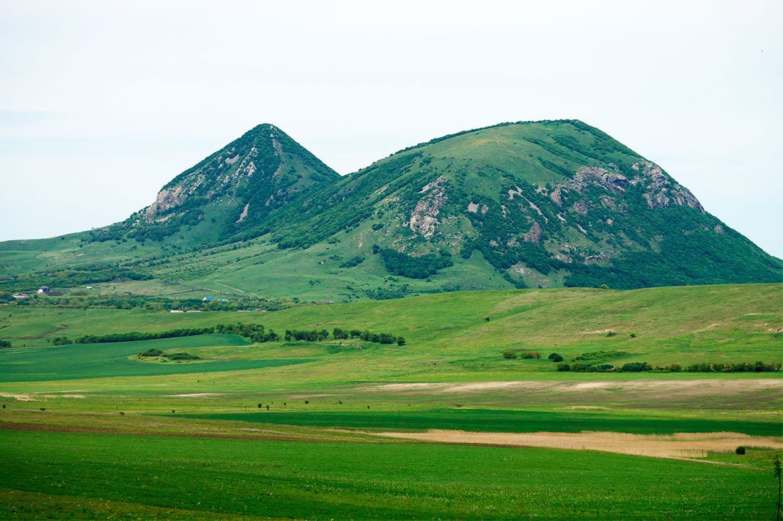 Маки гора Верблюдка