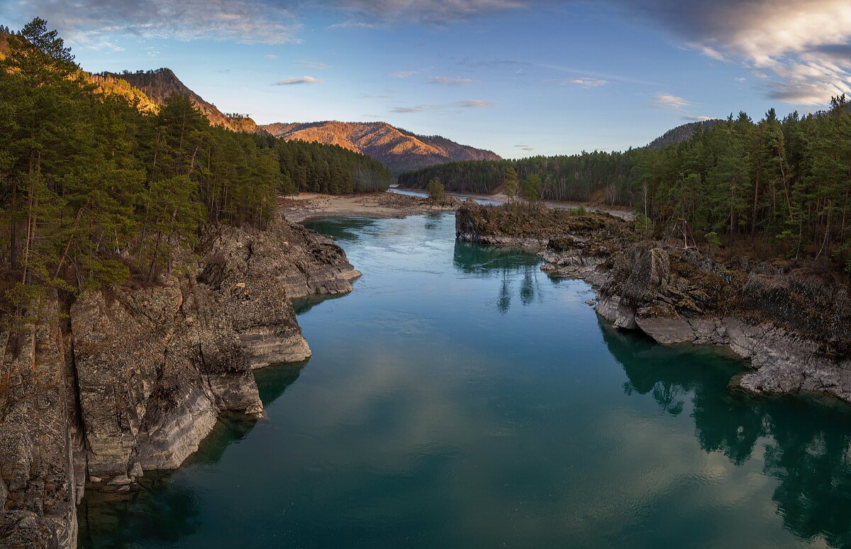 Узнезя горный алтай фото