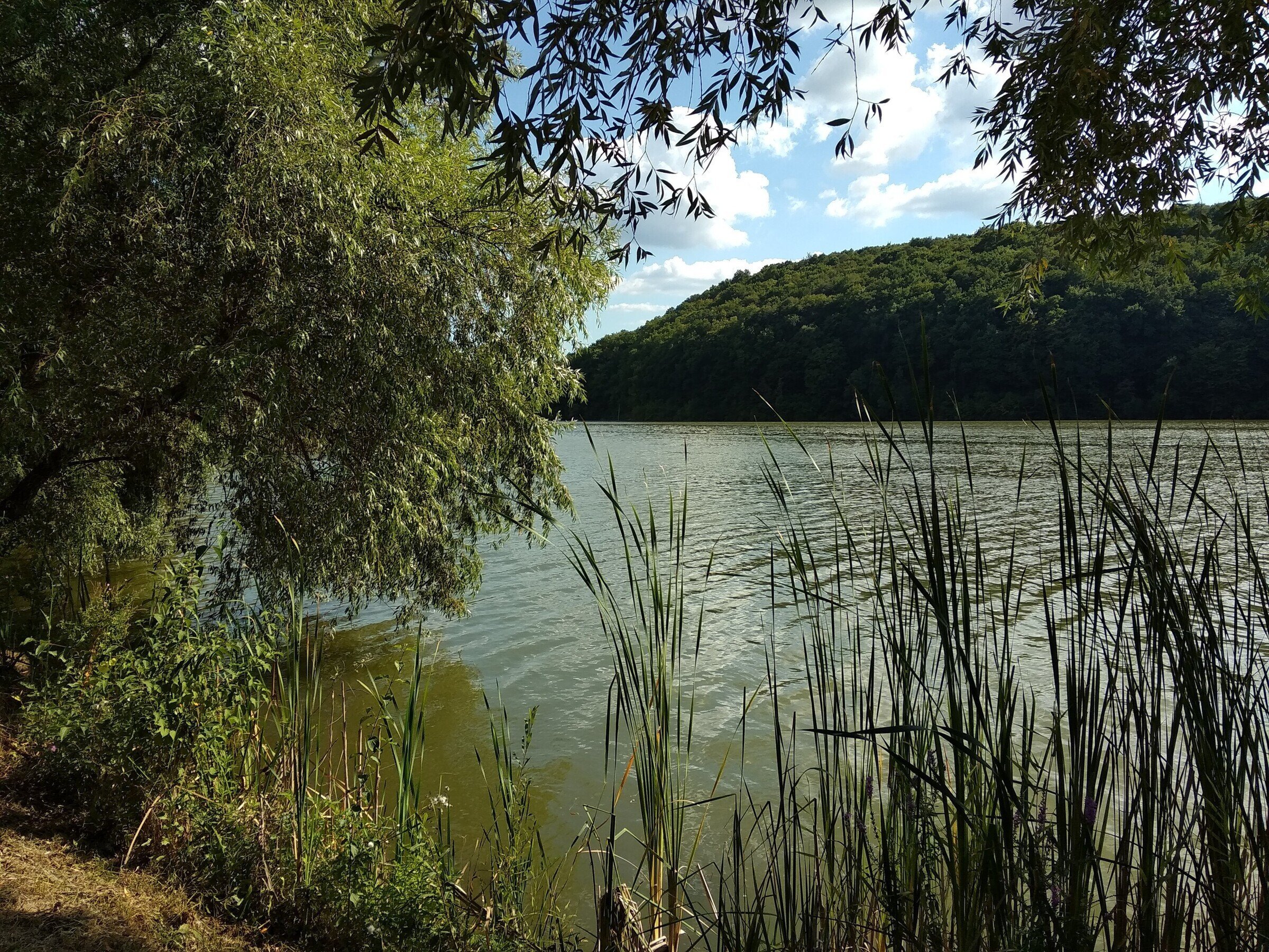 Село крымское краснодарский край. Молдаванское озеро Крымский район. Хутор Новокрымский греческое озеро. Новокрымское озеро Крымский район. Молдаванское озеро Краснодарский край.