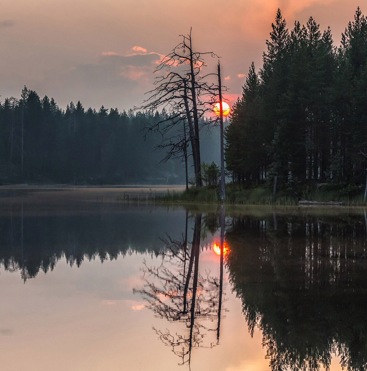 Озеро Пизанец рыбалка