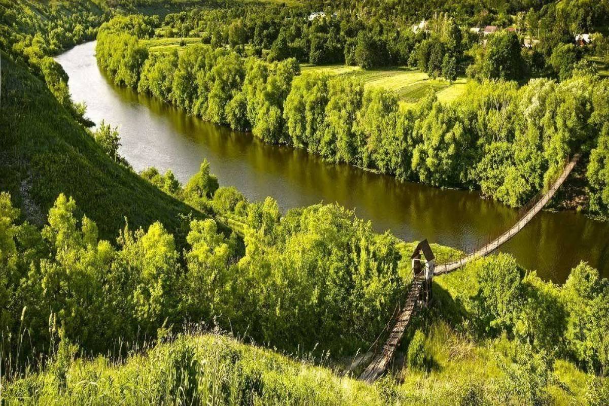 Липецк берег реки. Волотово Липецкая область подвесной мост.