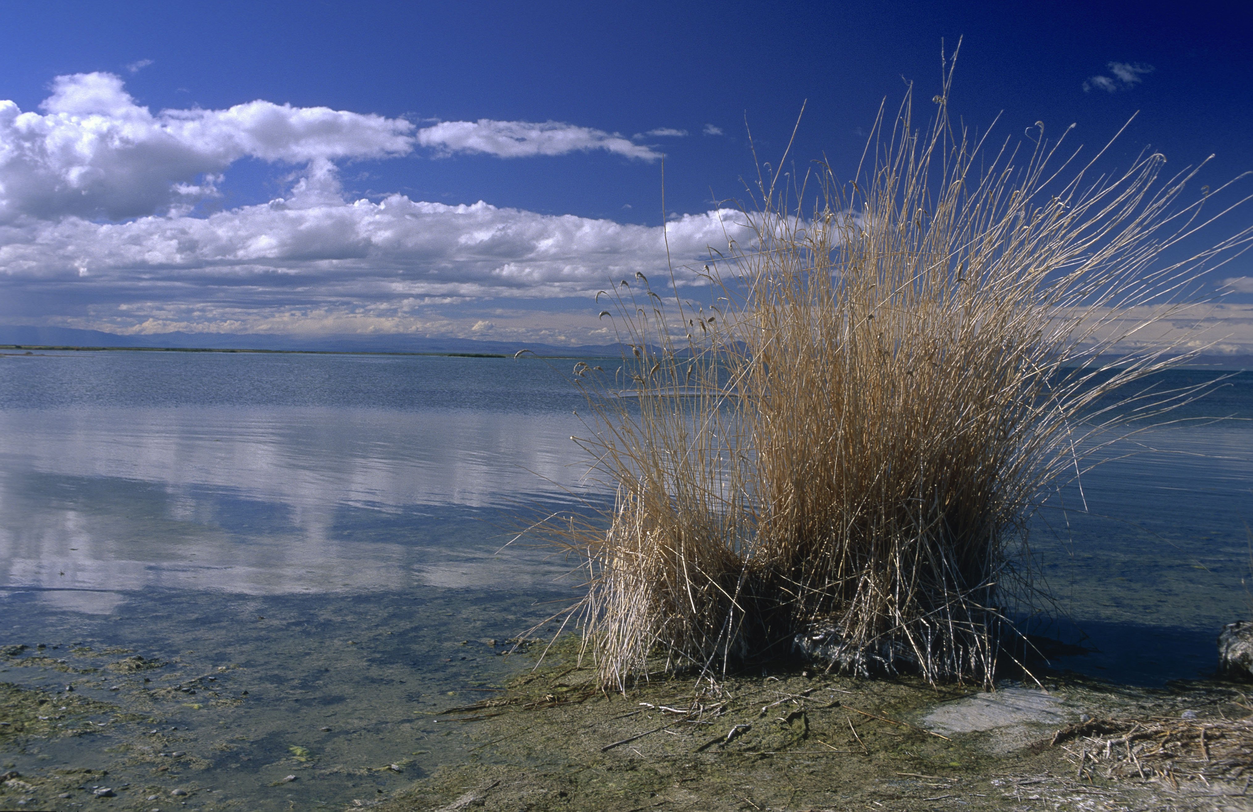 Котловина больших озер. УВС нуур озеро. Озеро Убсу Нур Монголия. УВС Монголия. УВС нуур озеро фото.