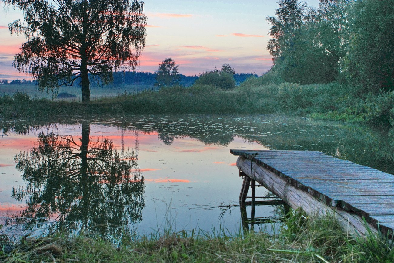 Летом у реки