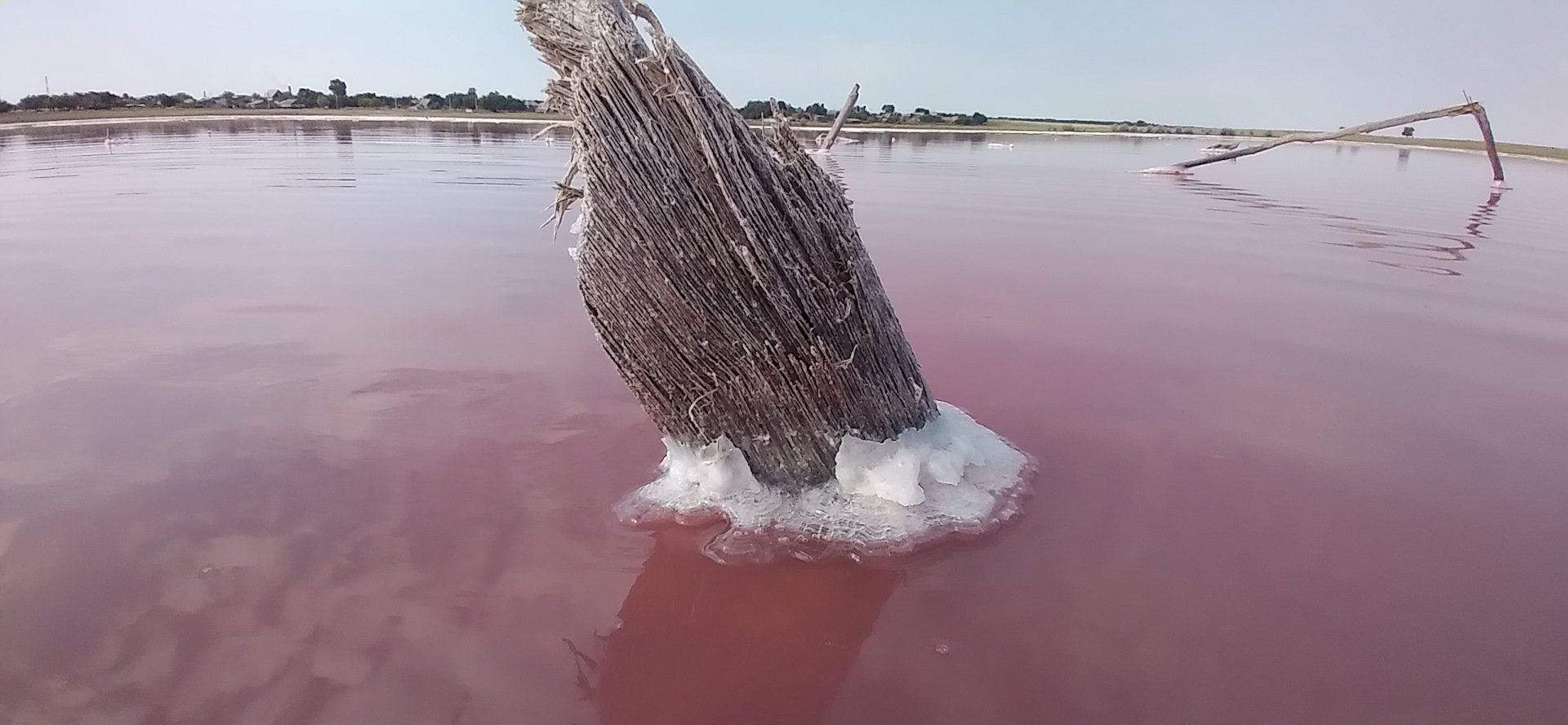 П малиновое озеро алтайского. Малиновое озеро Алтайский край Михайловский район. Малиновое озеро Алтайский край Михайловский. Озеро Колтан-Нур Калмыкия. Малиновое озеро (Михайловский район).