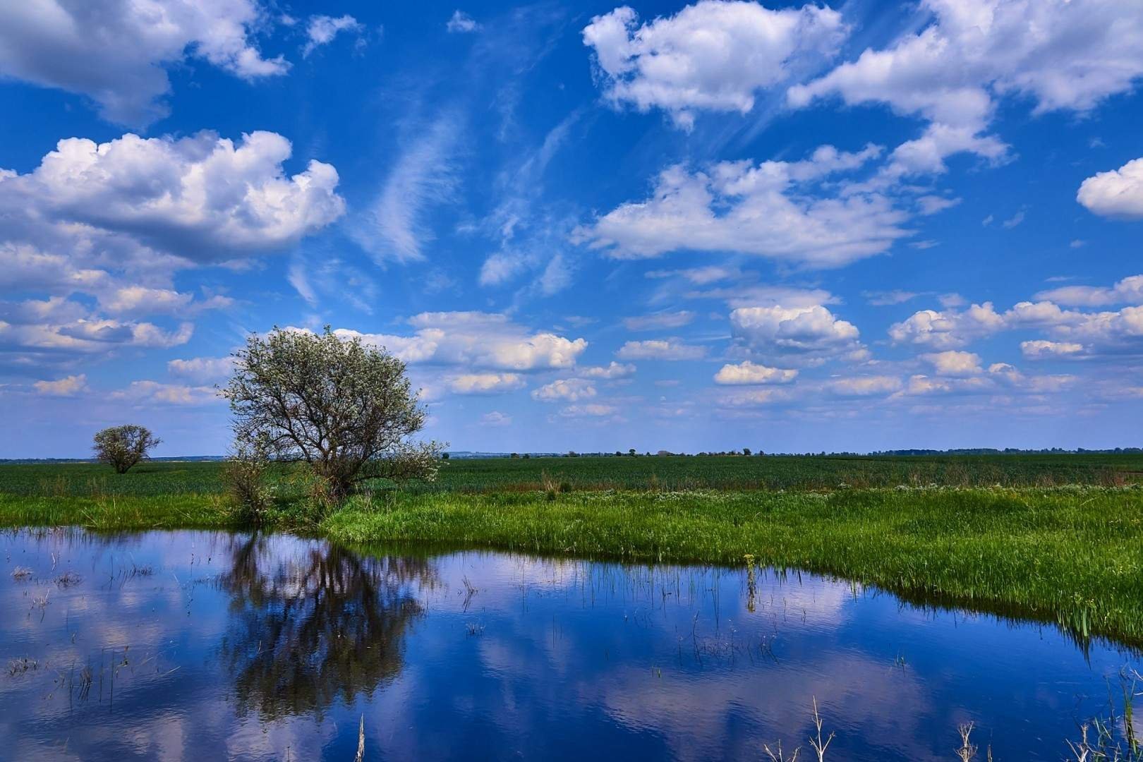 река и небо