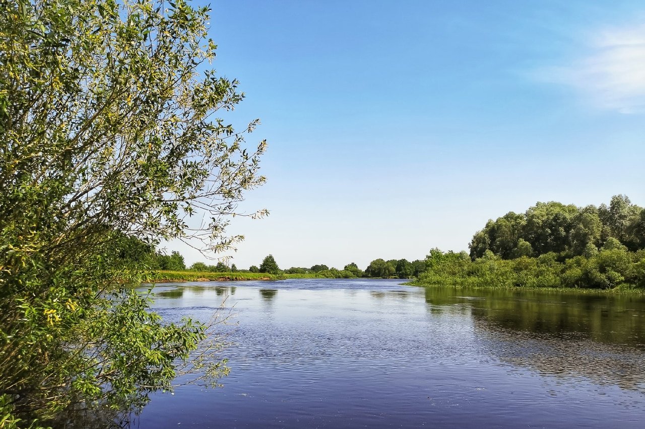 река березина бобруйск