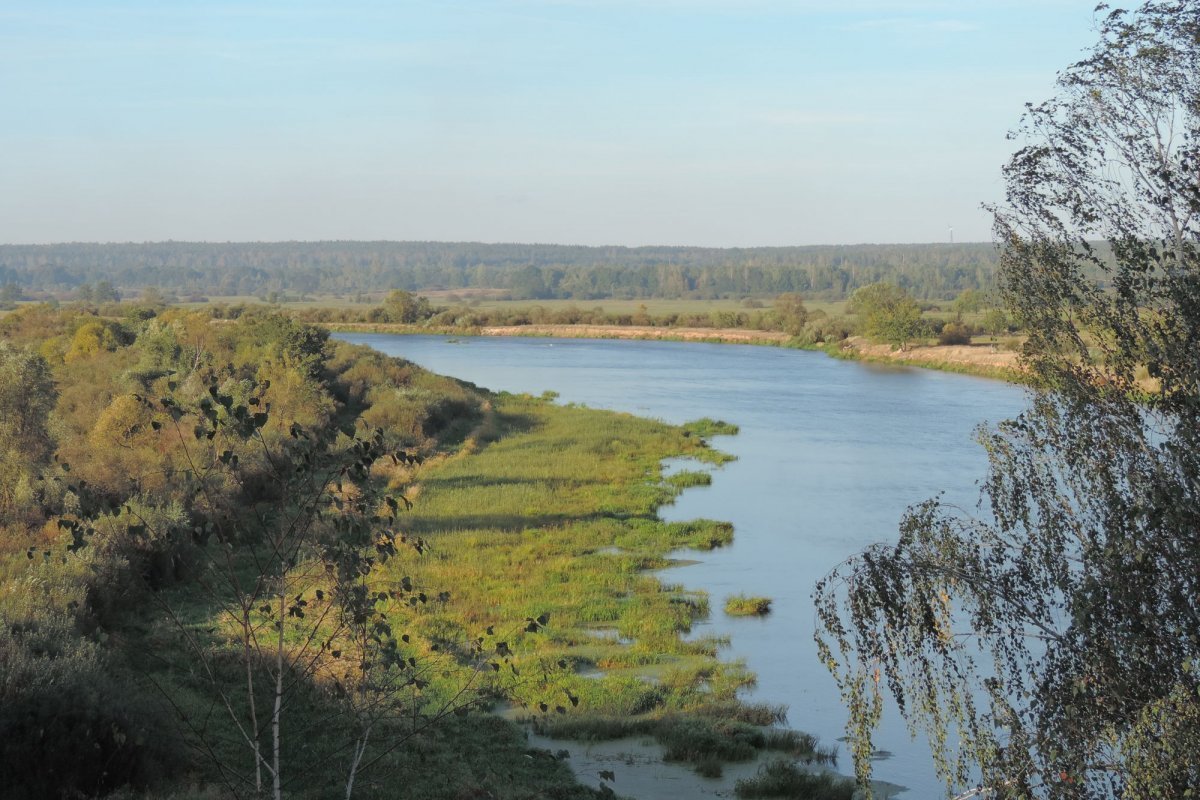 река березина бобруйск