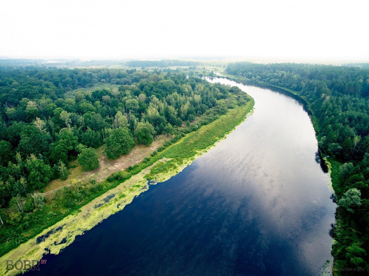 река березина бобруйск