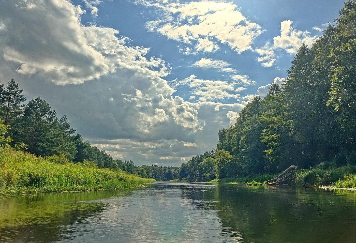 река березина бобруйск