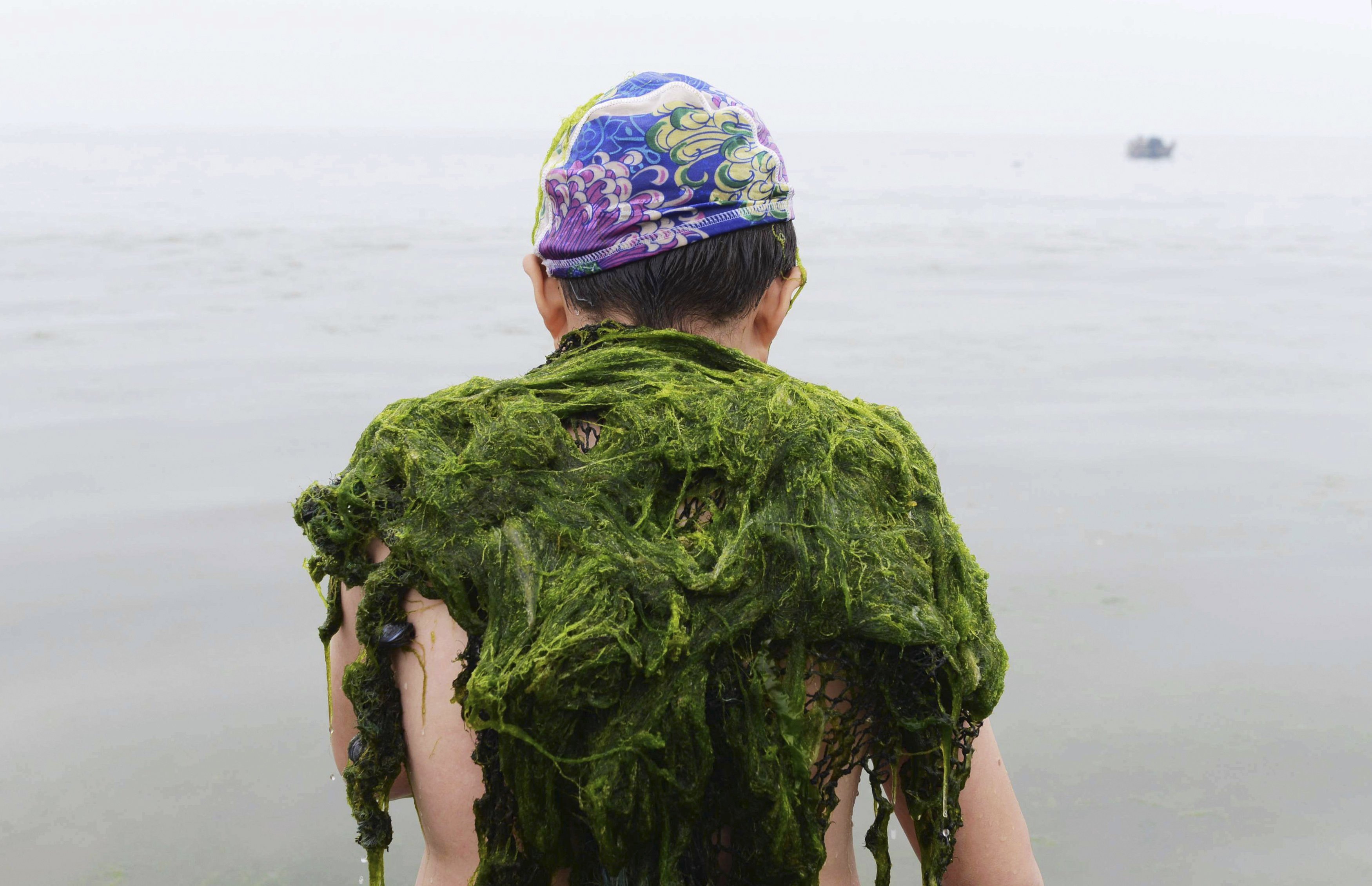 Элемент из водорослей. Волосы из водорослей. Человек в водорослях. Шапка из водорослей.