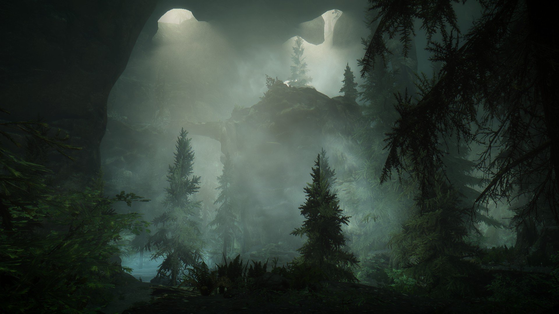 Fog the cave. Туманная роща скайрим. Пещера зеленая тень скайрим. Мрачный лес. Темный лес.