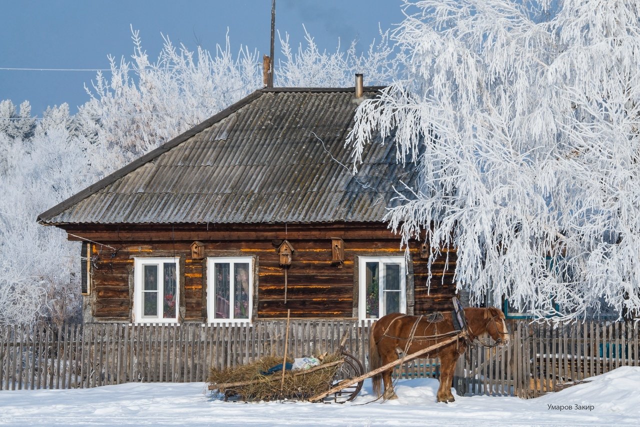 Зимний сельский русская деревня