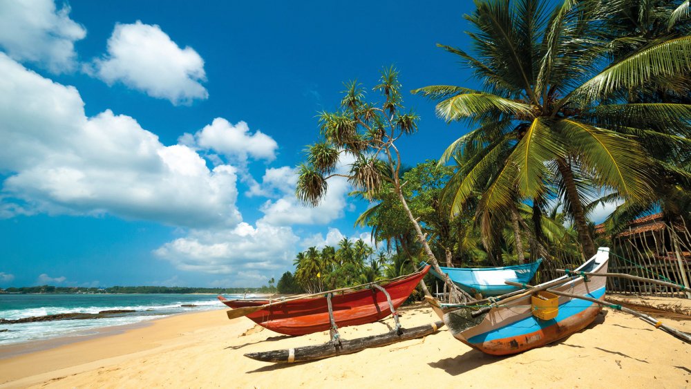 Остров Шри Ланка пляж