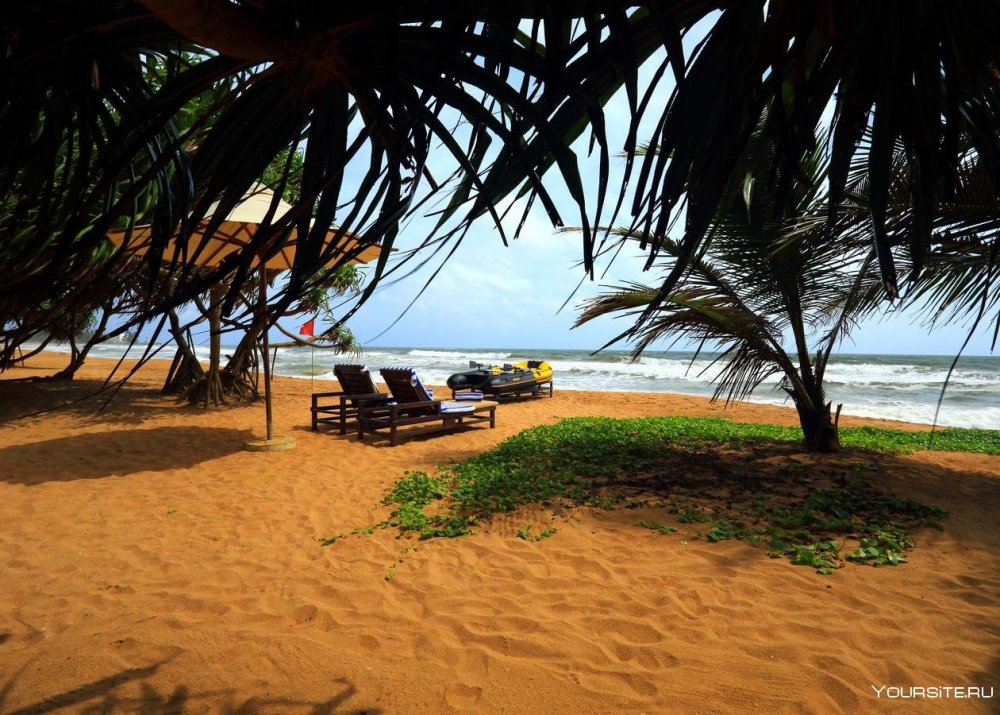 Shinagawa Beach Шри Ланка