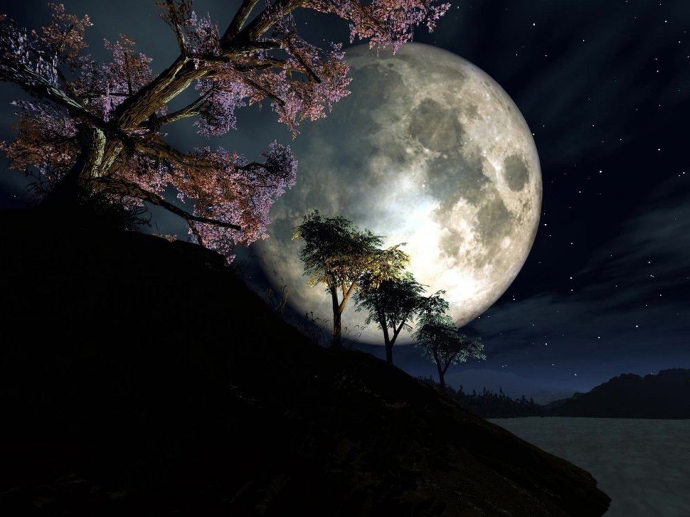 Лунная Весенняя ночь