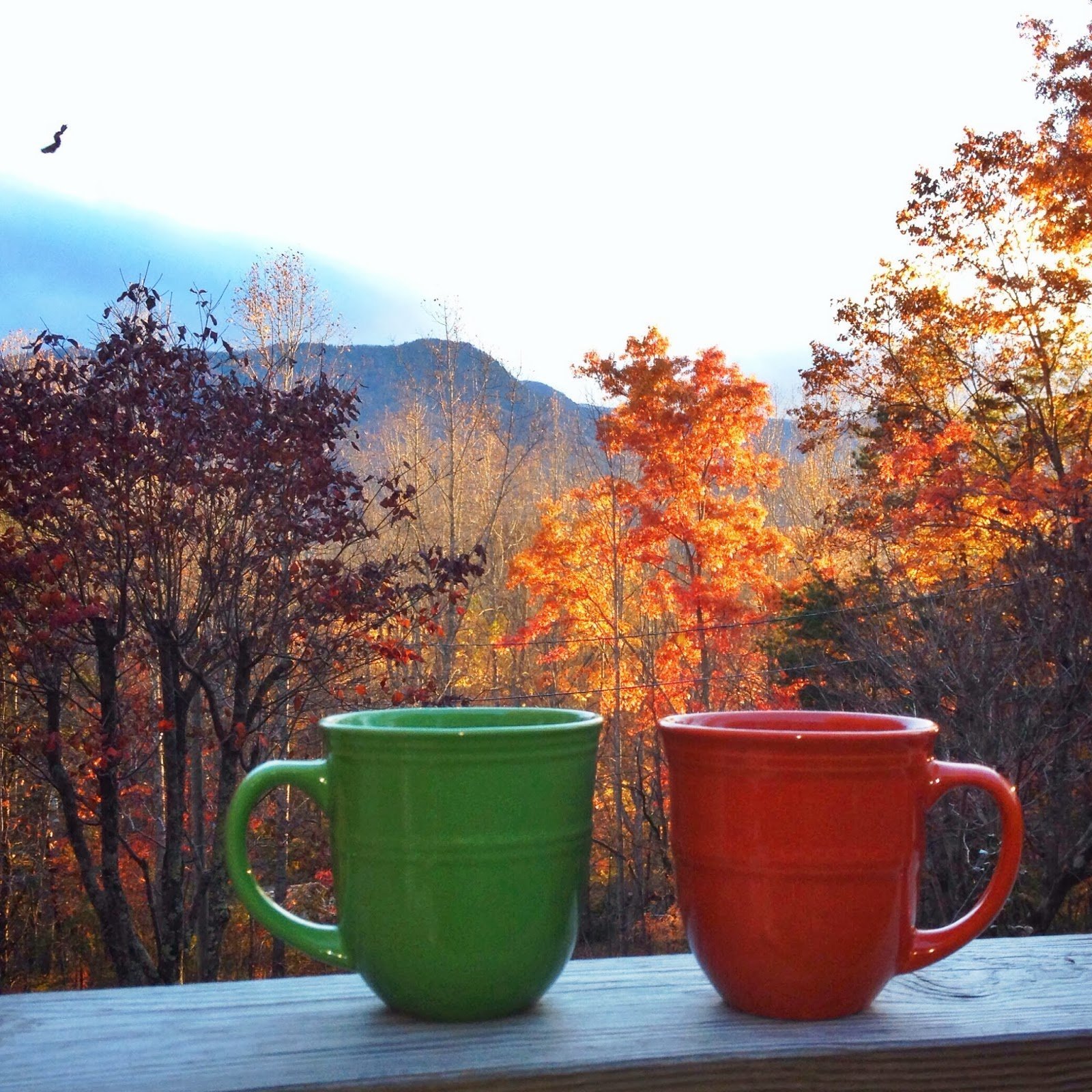 Осеннее утро картинки. Осенний чай. Осень чай. Утро осень. Раннее осеннее утро.