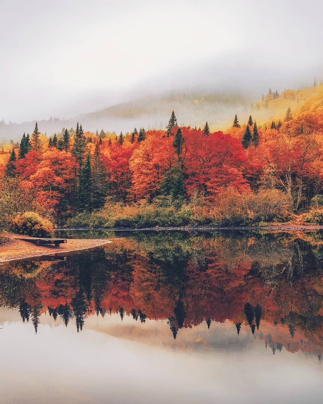 Невероятная осень. Осень Эстетика. Осенний пейзаж. Природа осень. Осень Эстетика природа.