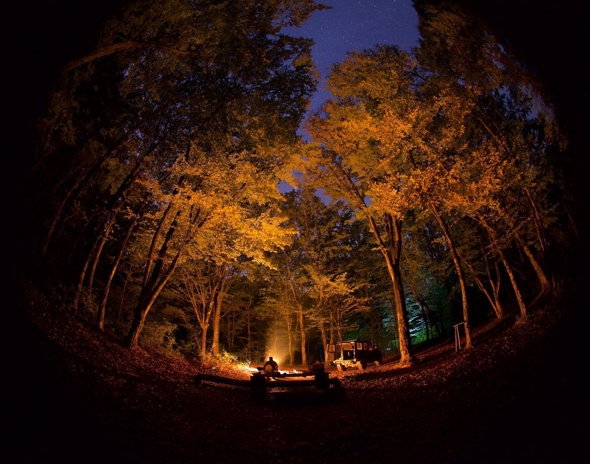 Бывают осенние ночи. Ночной осенний лес. Осенний лес ночью. «Ночь в лесу». Осень ночь лес.