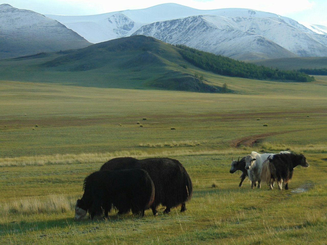 Республика тыва село