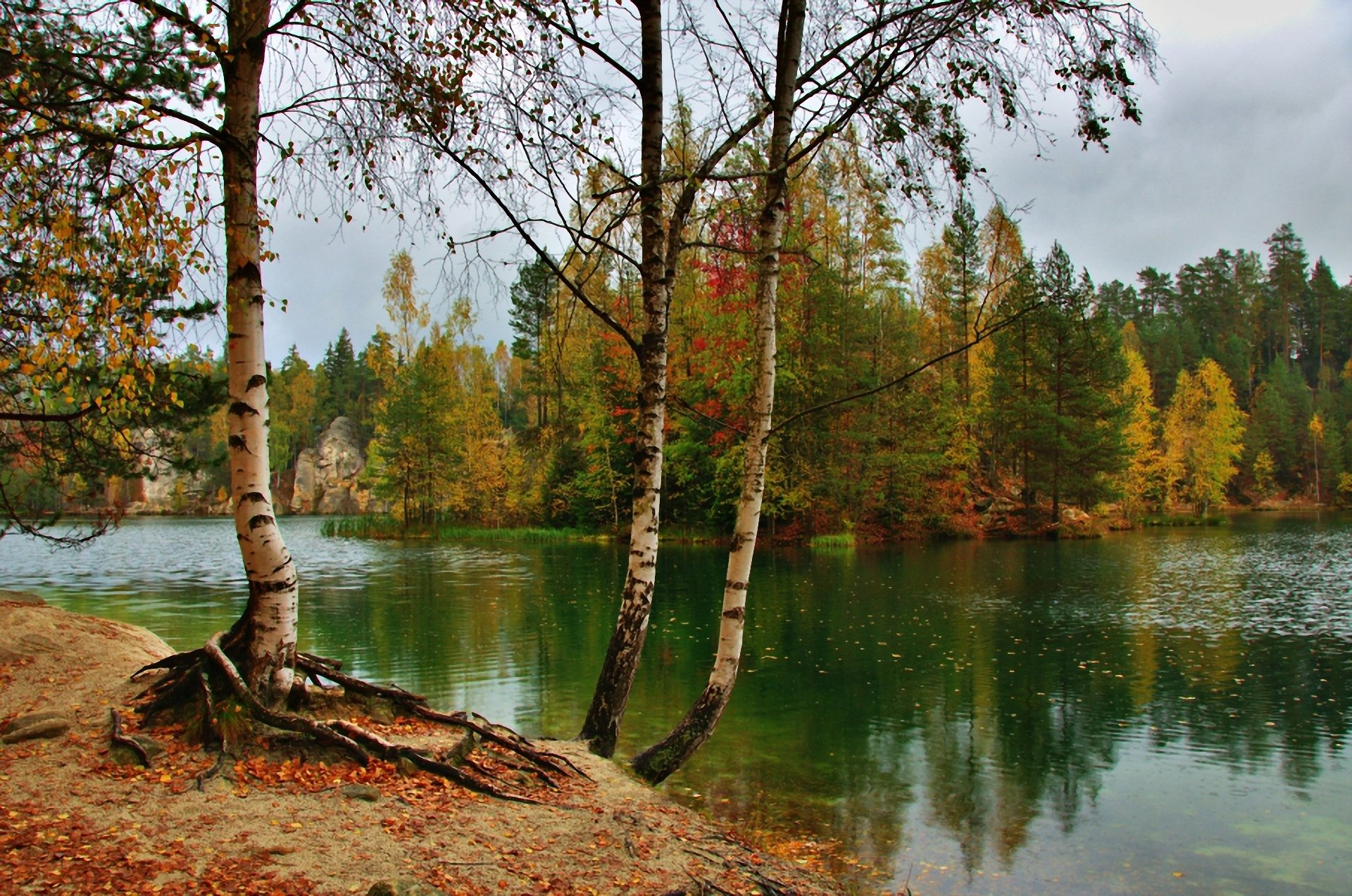 У берез и сосен. Река Тулва осень. Пейзаж с рекой. Берег озера осень. Осень береза у реки.