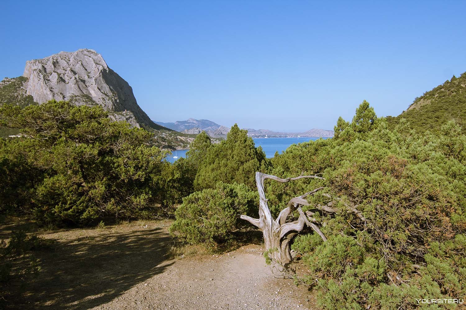 Климатические крыма. .;Ysq ,thtu Крым субтропики. Климат горного Крыма. Можжевеловая роща в Судаке растения. Крым климат климатолечение.