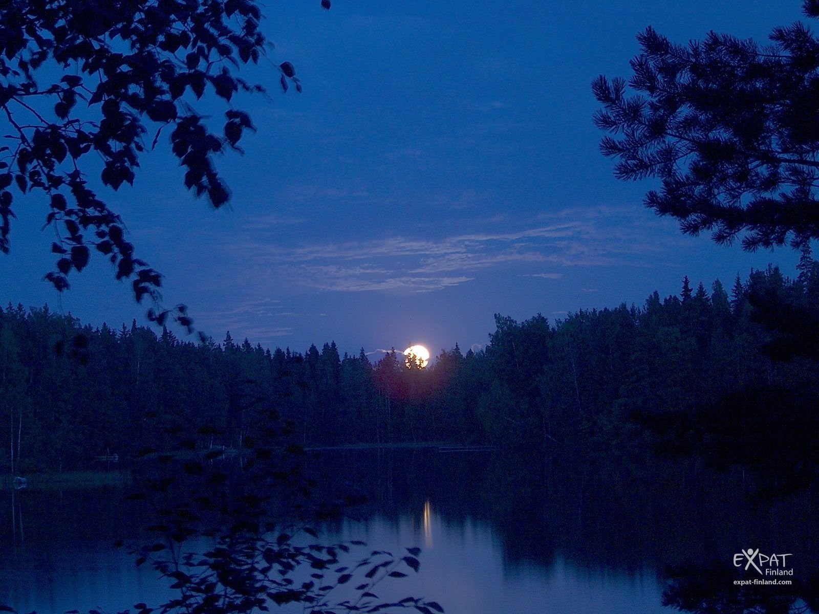 Тихий вечер вечер сине. Ночное озеро. Природа вечер. Летняя ночь. Ночная природа.
