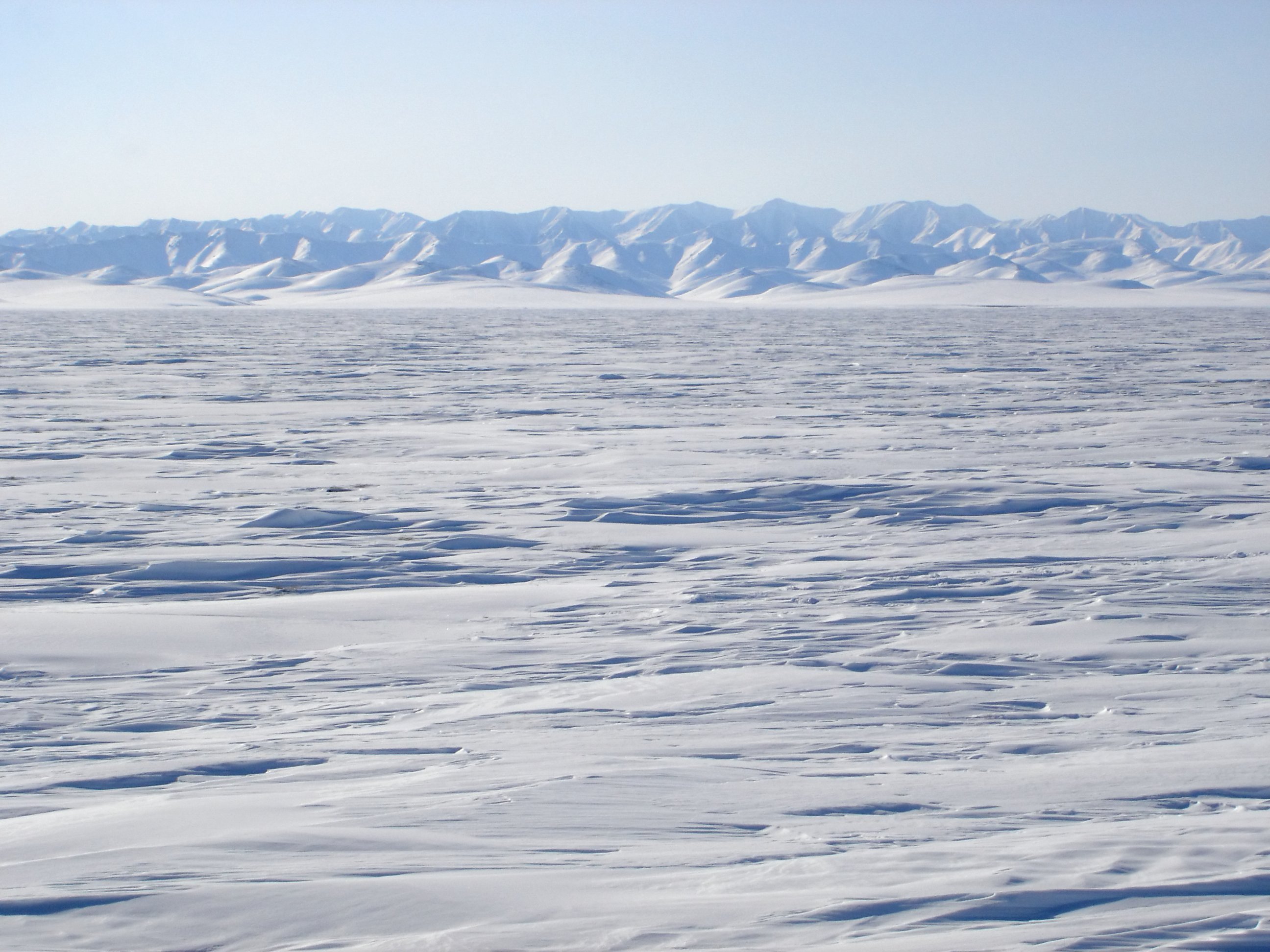 Арктическая тундра осадки. Arctic Tundra. Тундра в Антарктиде. Арктика тундра. Северный полюс.