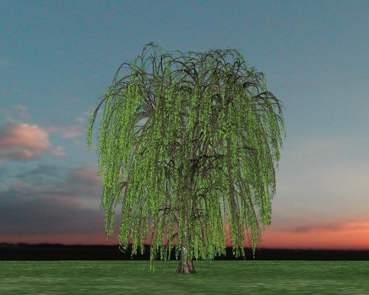 Willow tree. Ивушка плакучая дерево. Ива поникшая. Верба дерево. Плакучая Ива для детей.