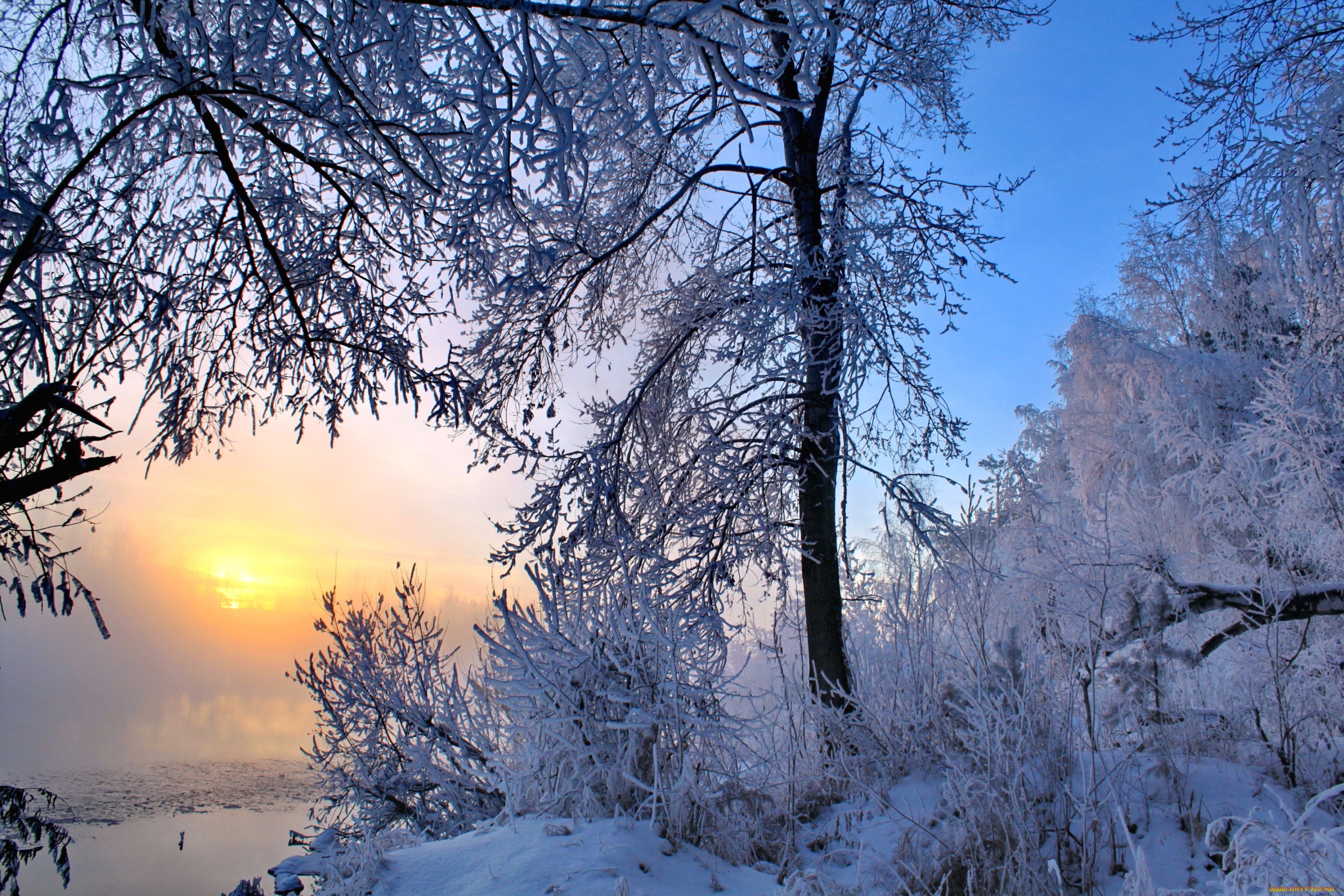 Природа оживает после зимнего сна найди. Зимнее утро. Февральский пейзаж. Зимний день. Солнечный зимний день.