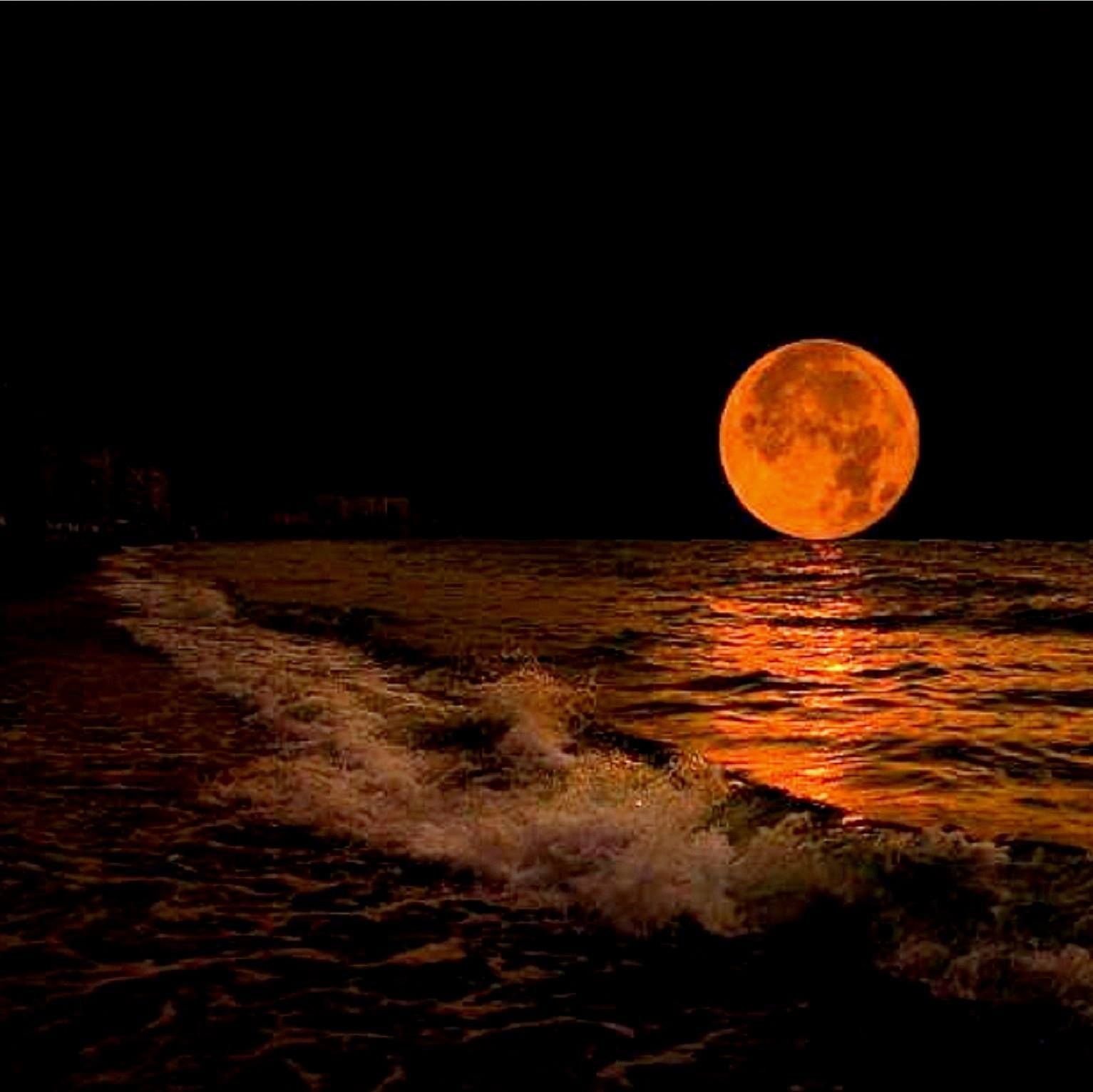 Большая оранжевая луна. Оранжевая Луна. Луна и море. Луна над морем. Ночь в море.