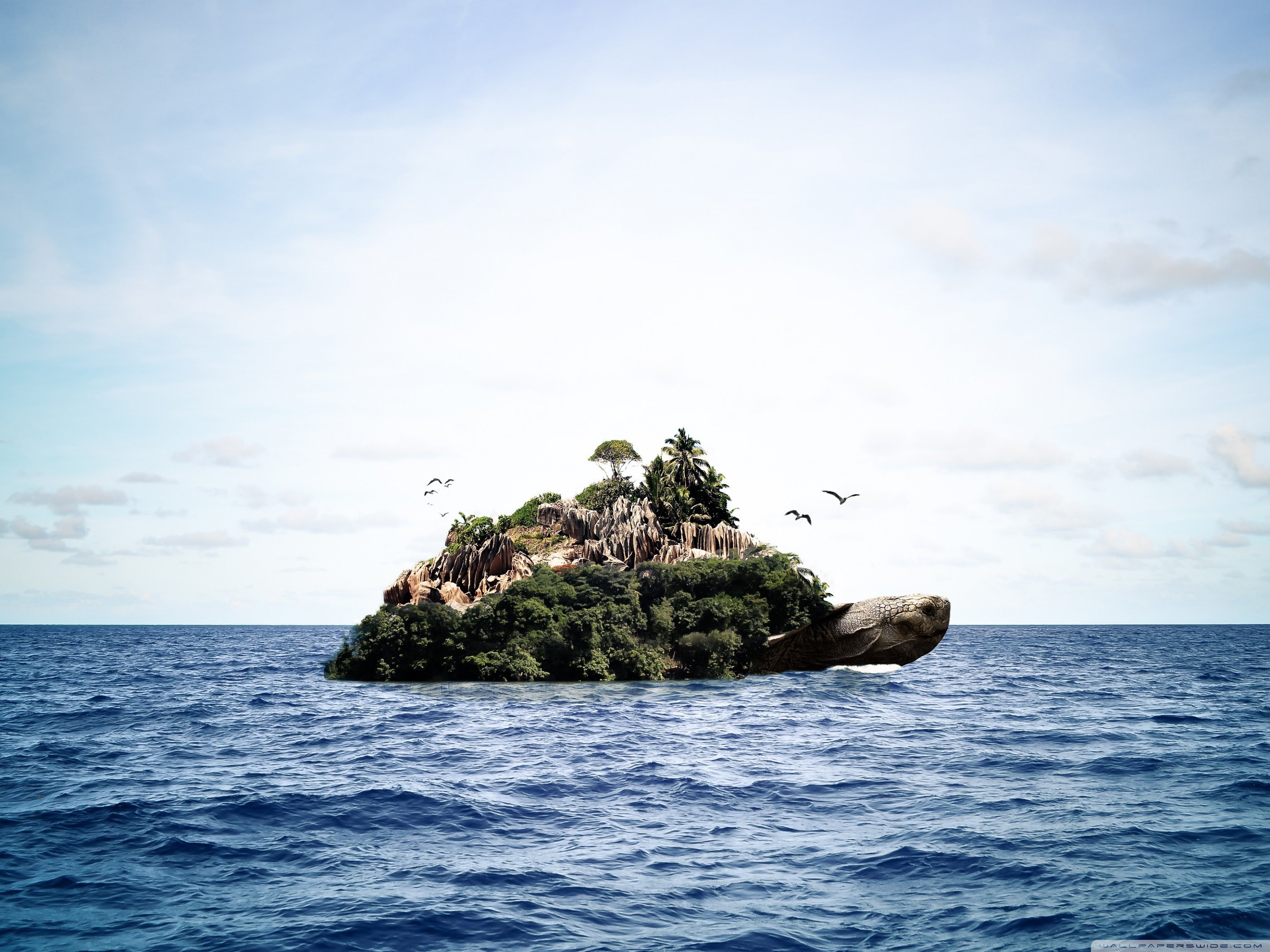 Остров. Остров черепаха в Азовском море. Маленький остров. Необитаемый остров фото. Одинокий остров.