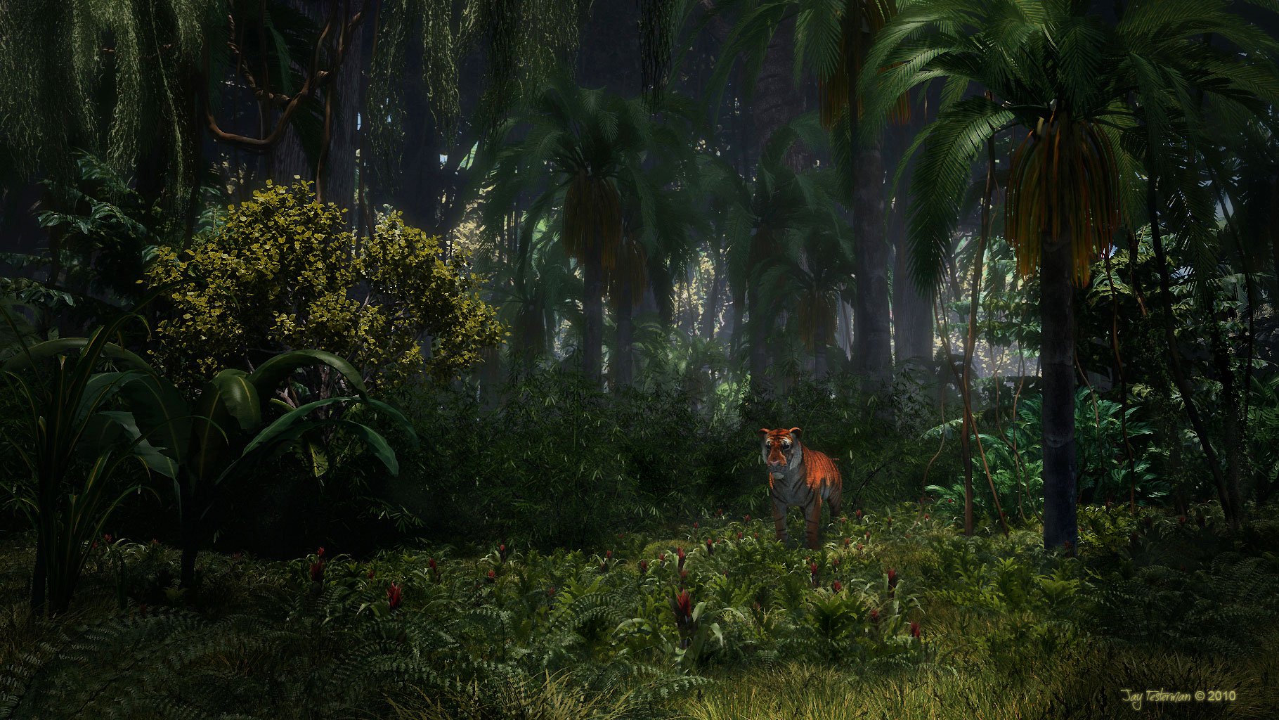Описание джунглей. Джунгли лакопал Геншин. Пейзаж джунгли. Джунгли ночью. Современные джунгли.