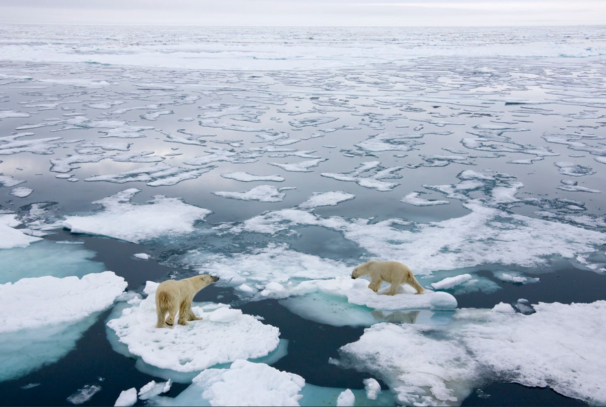 Экологические проблемы северного ледовитого океана. Арктика Северный Ледовитый океан. Акватория Северного Ледовитого океана. Таяние ледников глобальное потепление. Таяние ледников в Арктике.