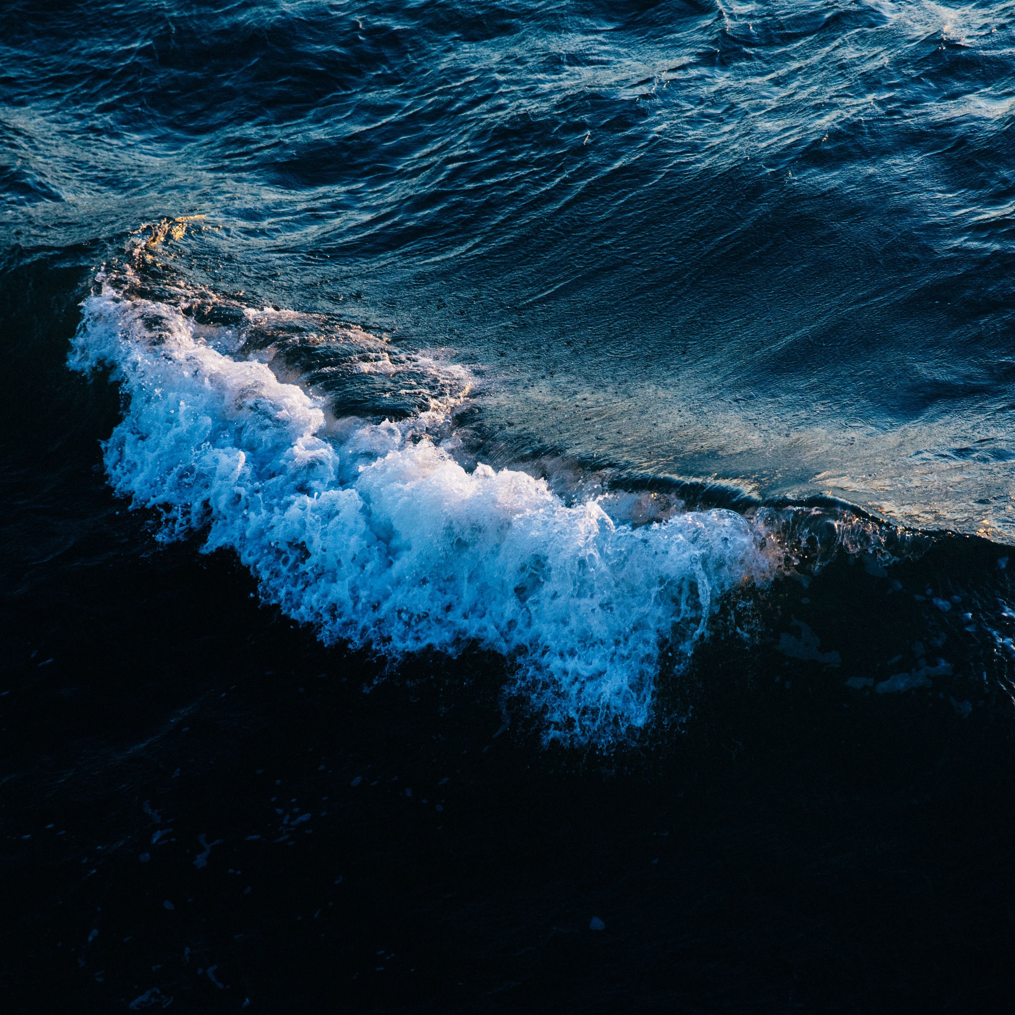 Тихий океан поверхностные воды. Океан волны. Море, волны. Высокие волны. Воды Тихого океана.