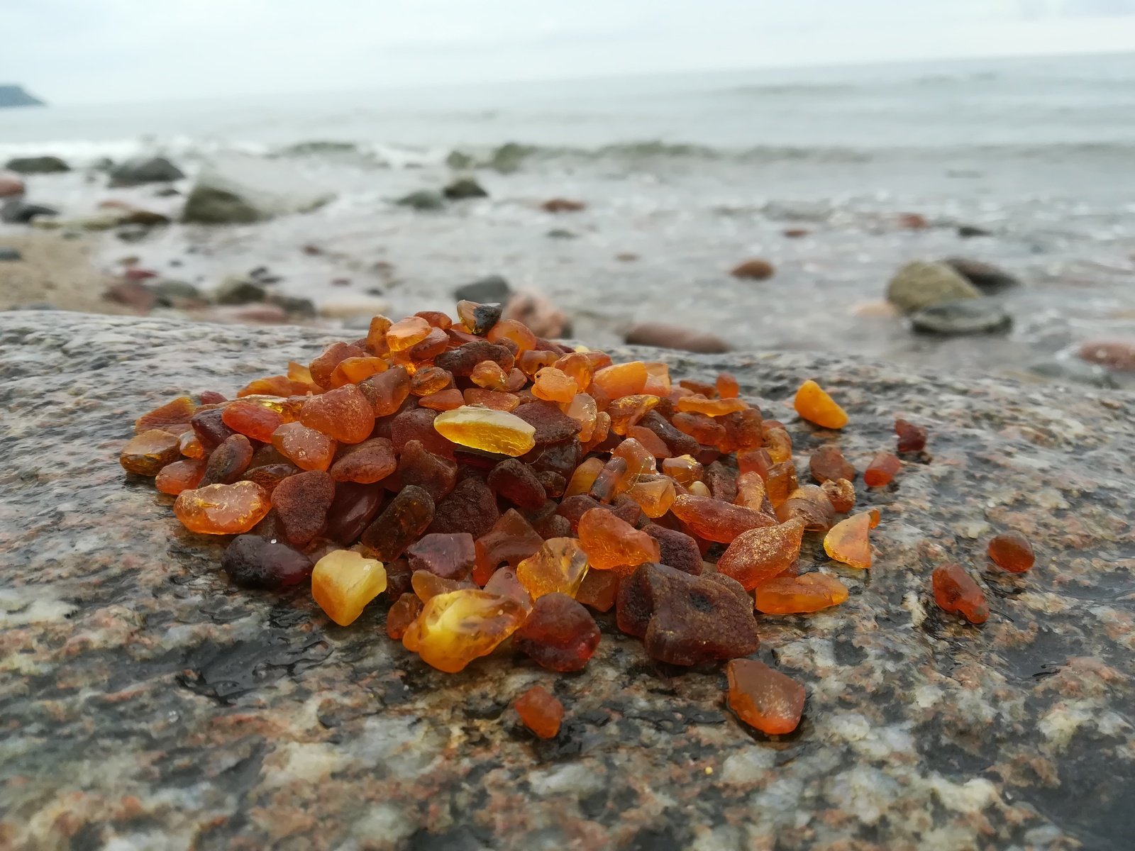 янтарь на берегу балтийского моря