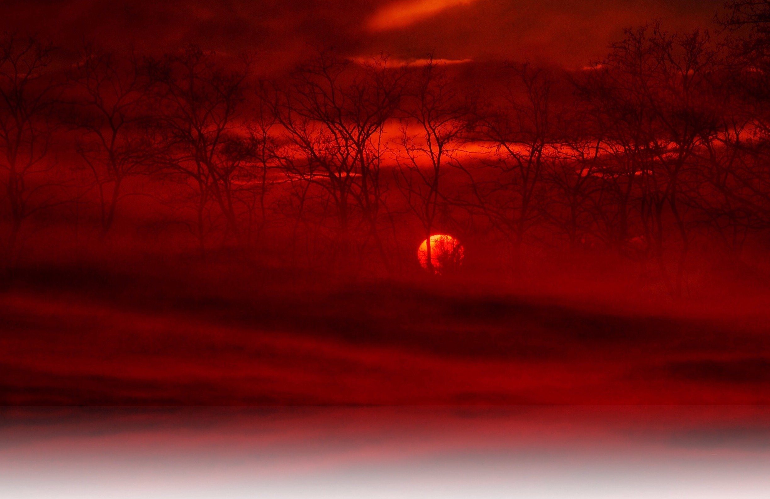 Багряный шар. Красный закат. Красный туман. Кровавое небо. Кровавый закат.
