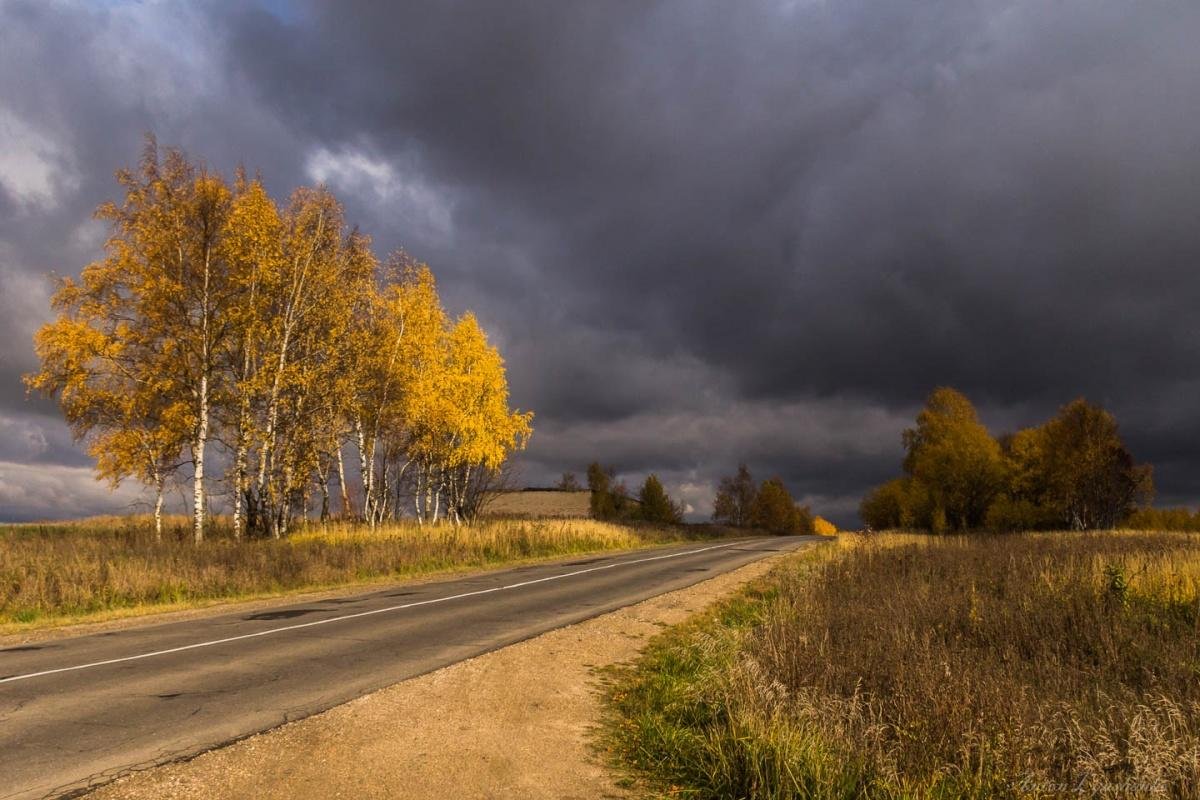 Пасмурно пасмурно хороша. Пасмурная осень. Хмурая осень. Осенняя дорога. Пасмурный день.