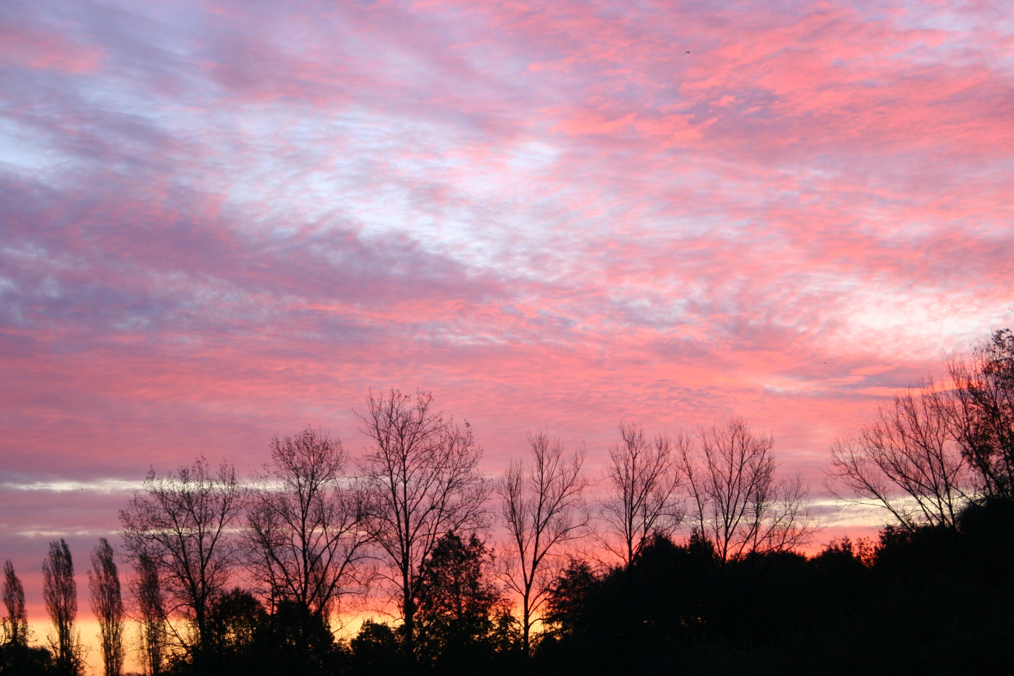 Песни розовый закат далеко зашел. Ранний закат. Утреннее небо. Розовое небо. Розовый закат.