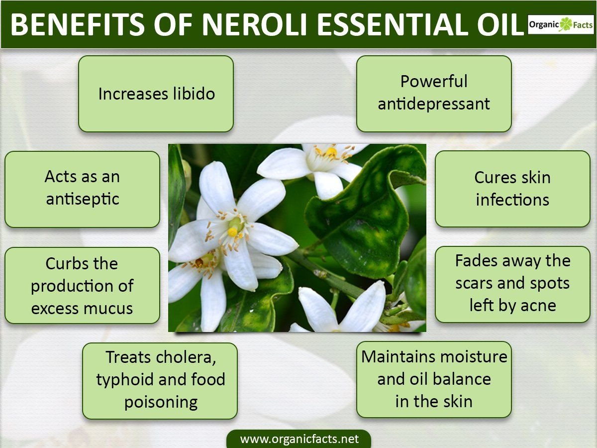 Neroli перевод. Нероли доттера. Нероли эфирное масло ДОТЕРРА. Масло ДОТЕРРА нероли нероли эфирное. Османтус и нероли цветок.