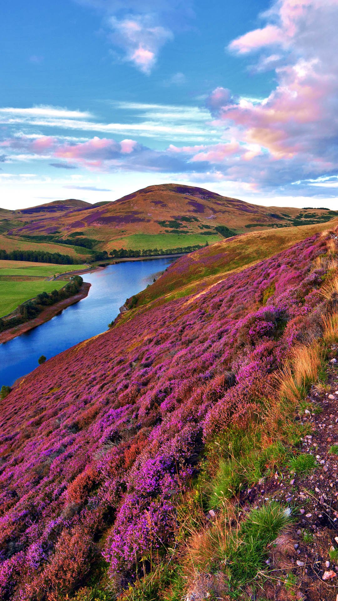 Scotland is beautiful. Шотландия ландшафт. Вересковые пустоши Ирландии. Вересковые поля Шотландии дорога. Шотландия Долина Спейсайд.