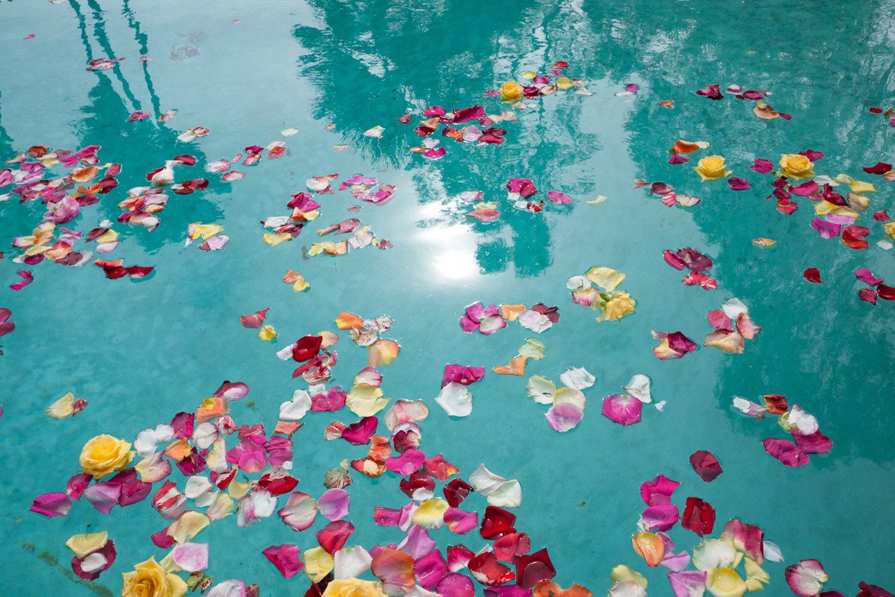 The flowers to water every day. Лепестки роз в воде. Цветы на воде. Лепестки цветов на воде. Бассейн с лепестками роз.