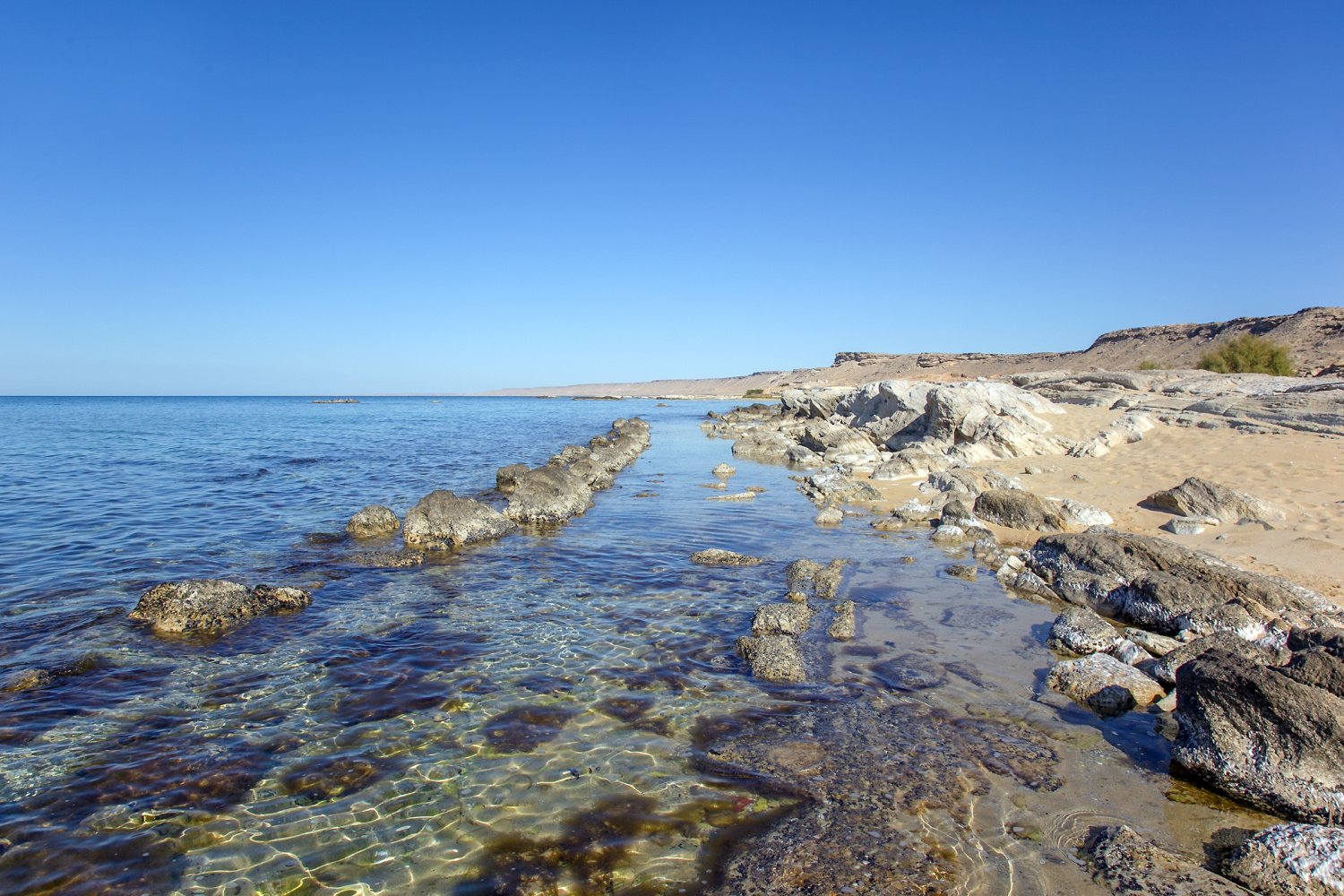 актау море пляжи